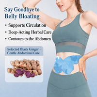 Koyo Moxibustion Penghangat Perut untuk Menurunkan Berat Badan, Koyo Pengurang Lemak Perut Jahe Hitam Bentuk Kupu-kupu, Koyo Kupu-kupu OEM