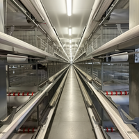 Offre Spéciale : Poulailler Automatique Type H à 4 Niveaux, Équipement d'Élevage Galvanisé pour 20 000 Poulets – Projet Agricole Afrique