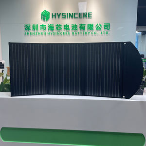 600W haute qualité cigs mono <span class=keywords><strong>photovoltaïque</strong></span> bipv <span class=keywords><strong>silicium</strong></span> <span class=keywords><strong>amorphe</strong></span> transparent double verre panneaux solaires 66w - Product Image 2