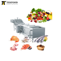 TEK Industriële Kleine Blancheringsmachine voor Zeevruchten, Fruit, Groenten, Garnalen, Zeevruchten Blancheren, Drogen, Productielijn