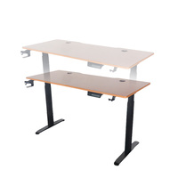 2024 nouveau bureau de jeu de table d'ordinateur de 1.4m bureau debout pour le moteur domestique bureau d'ordinateur debout réglable électrique
