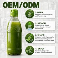 Mélange de poudre de créatine et d'électrolytes en bouteille PET à ouverture par pression, marque privée OEM, fabricant de boissons sportives ODM