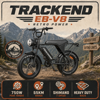 Vélo Électrique V8 YL-81F avec Affichage, Moteur Arrière 750W, Ebike, Entrepôt Outre-mer Canada Allemagne Pologne, Faible Coût d'Expédition, Conception Personnalisée