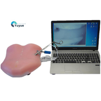 Modèle d'enseignement médical pour la simulation d'endoscopie du foramen intervertébral