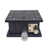 Plataforma Lineal Horizontal LDTSS-J-10VS-60, Eje Z, Mesa de 60x60 mm, Recorrido de 10 mm, Carga de 6 kg, Posicionamiento de Precisión