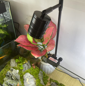 Lámpara <span class=keywords><strong>LED</strong></span> Giratoria para <span class=keywords><strong>Acuario</strong></span>, 7W, 3 Modos de Color, Clasificación IP65, Aluminio, Regulable, para Cultivo de Plantas de Agua Dulce - Product Image 3