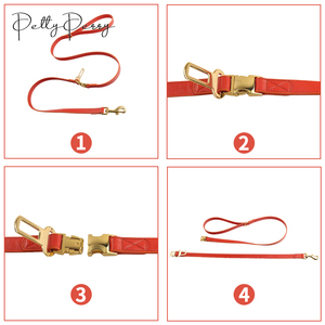 Conjunto de Collar y correa para perro de tendencia 2024, impermeable, estético, multimanos libres, gancho a presión, correa para perro, gancho de cuero para correa de perro - Product Image 4