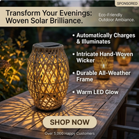 Lampes d'art en rotin à énergie solaire pour l'extérieur, idéales pour les cours et les loisirs, étanches et durables, éclairage de bureau, lumière d'ambiance