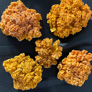 <span class=keywords><strong>Champignons</strong></span> Golden Ear en bois de tilleul, spécialité du Yunnan, provenant des montagnes profondes, jaunes, lyophilisés/séchés, 1 kg, produits agricoles comestibles - Product Image 4