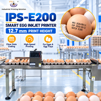 Imprimante jet d'encre intelligente IPS-E200 pour œufs, hauteur d'impression 12,7 mm, machine de codage de date d'expiration et de fabrication pour œufs, imprimante de codage de plateau pour œufs