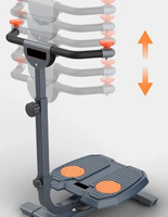 Appareil d'exercice pour le corps, machine à torsion de la taille, acier, multifonctionnel, antidérapant, disque rotatif pour la salle de sport, machine d'exercice pour amincir le corps