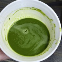 Poudre de Matcha Bio en Gros Yibenef Qualité Cérémoniale A-6A 30g avec Rapport de Laboratoire L-théanine EGCG Poudre de Matcha Personnalisée OEM