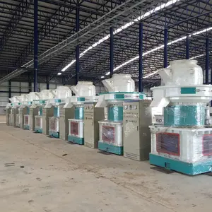 Máquina de pellets de madera que hace la solución de línea de pellets buen precio máquina de fabricación de pellets de Proyecto de pavo