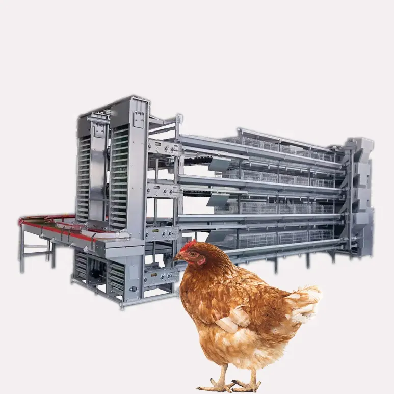 Equipo de cría de aves de corral 3 Tier H Tipo Capa de batería automática Jaula de pollo para gallinas de huevo