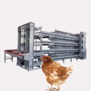 家禽農業機器3層Hタイプ卵鶏用自動電池層鶏ケージ