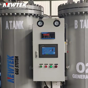 Il generatore di ossigeno 93% PSA di NEWTEK 15nm/hr fornisce servizi gratuiti di installazione in loco per l'estrazione dell'oro e la lavorazione dei minerali - Product Image 3