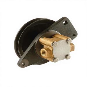 Bomba de Agua de Mar Cruda Sherwood Pumps G8002, Producto de Categoría Marina - Product Image 4