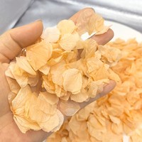 Confettis de pétales d'hortensia jaunes biodégradables, pétales de fleurs séchées, décoration pour allée de mariage, événements et fêtes