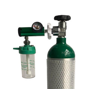 Originele Gloednieuwe Gas 15Lmin Pediatrische Stickers Medische Stierneus Met Flowmeter Inhalator Zuurstofregelaar - Product Image 6