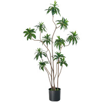 Plante artificielle Dracaena Reflexa pour sol - Résistante aux UV, écologique, recyclable, haute simulation, pour intérieur, Thanksgiving, Noël