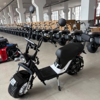 Feiwo X21 İki Tekerlekli Elektrikli Scooter 1000W/2000W Dijital Şişman Lastikli Disk Frenli Tam Süspansiyonlu 200kg Taşıma Kapasiteli