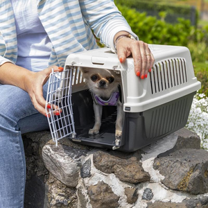 Vente en gros de boîtes de transport pour animaux de compagnie de luxe, nouvelle conception, approuvées par les compagnies aériennes, boîtes de transport pour chiens en plastique personnalisées pour les voyages - Product Image 5