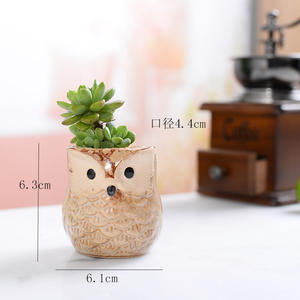 Maceta Moderna de Cerámica con Diseño de Búho Japonés y Coreano, Mini Maceta para Suculentas, Decorativa para Aniversario, Juego de Búhos - Product Image 6