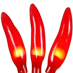 120v Automne Récolte Piment Rouge Lumières Pour Intérieur et Extérieur Décoration de Jardin À la Maison