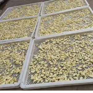 เครื่องปอกกระเทียมอัตโนมัติสายการผลิตเครื่องปอกกระเทียมออกแบบ - Product Image 3