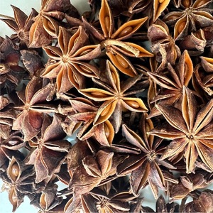 Anís Estrella Orgánico Especial de Invierno, 100 Gramos, Vainas Enteras, Cosechado a Mano para Recetas Familiares y Bebidas Calientes - Product Image 1
