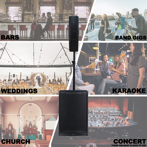 سماعات عمودية بصفيف نشط متخصصة 2000 وات سماعات <span class=keywords><strong>PA</strong></span> مقاس 12 بوصة 1.1 قناة نظام كاريوكي للحفلات مزود بخاصية DSP - Product Image 6