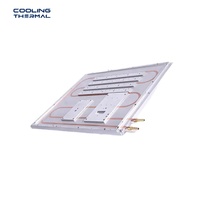 Plaque de refroidissement liquide en aluminium sur mesure, usinée CNC, pour batteries haute densité, système de refroidissement par eau, dissipateur thermique
