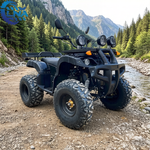 Cuatrimoto ATV con certificación LNA CE, 250cc, <span class=keywords><strong>de</strong></span> alta resistencia, para <span class=keywords><strong>alquiler</strong></span> en la playa - Product Image 5