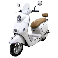 Moto électrique pour trajets quotidiens des adultes, moteur sans balais 1000W, batterie longue portée au plomb-acide 60V 72V 20Ah, 12 tubes, 4 modes de vitesse