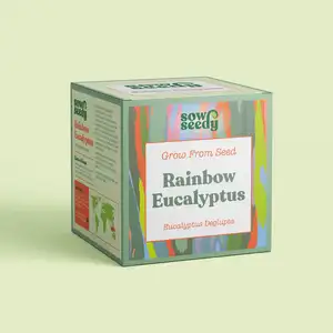 Kit de culture de bonsaïs d'eucalyptus arc-en-ciel Nifsel Mini kit de culture de bonsaïs Compl Attrezzi Kit de bonsaïs Acciaio