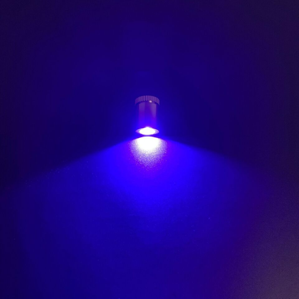 Púrpura