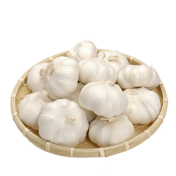 Профессиональный производитель экстракта Allium Sativum L