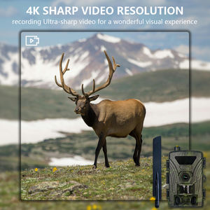 Cámara de Vigilancia para Caza PR802G Edición Europa, Visión Nocturna, Impermeable IP66, 60MP, 4K, <span class=keywords><strong>Nube</strong></span>, 4G LTE, Celular - Product Image 5