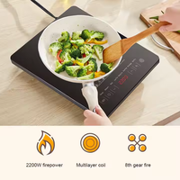 Plaques à induction en gros 2200W, cuisinière électrique multifonctionnelle avec base antidérapante, nouveau design, plaque à induction infrarouge