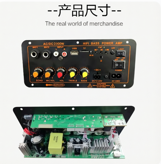 600W BT 5.0 Audio Amplifier Board D300 Dual Microphone Subwoofer Amplifier Module DC12V 24V 1CH HIFI Stereo Power AMP