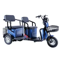 600W 800W OEM triciclo electrico elektrikli kargo trike üç tekerlekli elektrikli üç tekerlekli bisiklet motosiklet 3 kişi için lityum pil ile pil