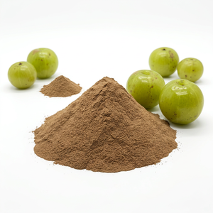 Fournisseur en gros de poudre de fruit d'Amla séché (qualité cosmétique, brillance capillaire) directement d'Inde - Gingerly Naturals - Product Image 1
