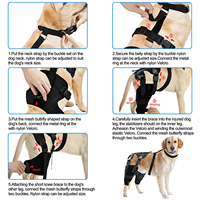 Attelle de rééducation moderne et confortable pour chien, pour genoux et pattes, en tissu de plongée, pour protéger les genoux, les pattes et les hanches, toutes saisons