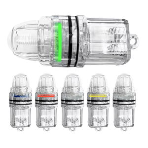 Luz de Pesca de Profundidad, Plástico Transparente, Funciona con Pilas AA, Luz LED Subacuática para Pesca de Arrastre en Agua Salada y Dulce - Product Image 1