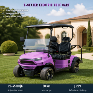 Carrito de Golf Eléctrico de 2 Plazas, Motor de CA de 60V 4KW, Alcance de 80KM, Neumáticos Todoterreno de 14 Pulgadas para Campos de Golf y Resorts, Soporte OEM ODM - Product Image 1