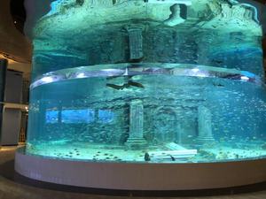 Conception d'<span class=keywords><strong>aquarium</strong></span> en acrylique, taille personnalisée, forme d'<span class=keywords><strong>aquarium</strong></span> transparent, grand <span class=keywords><strong>Aquarium</strong></span> en acrylique, prix de vente - Product Image 3