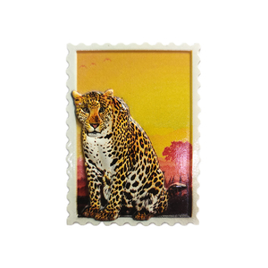 Aimants de réfrigérateur personnalisés avec divers motifs d'animaux, aimants de réfrigérateur en résine imprimés en espagnol, aimants de réfrigérateur personnalisables, décoration de la maison, cadeau - Product Image 6