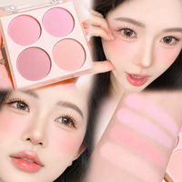 Fard à joues doux superposable pour la formation en maquillage professionnel dans les académies de beauté