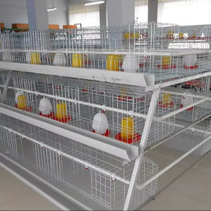 New Transparent Observation Rust-Proof Steel H-Type <b>Chicken</b> Broiler <b>Cages</b> 5 Year Warranty Easy Operation for Suburban Hobby - Product Image 1