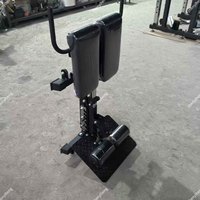 Vente chaude Banc nordique Équipement de gymnastique Banc réglable professionnel Chaise romaine